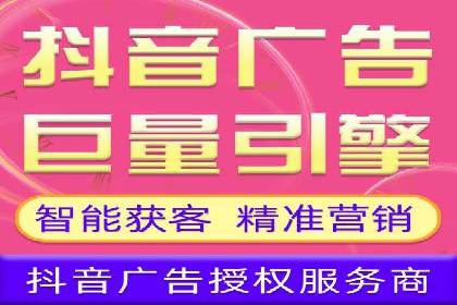 SEM搜索引擎优化策略解析与应用案例